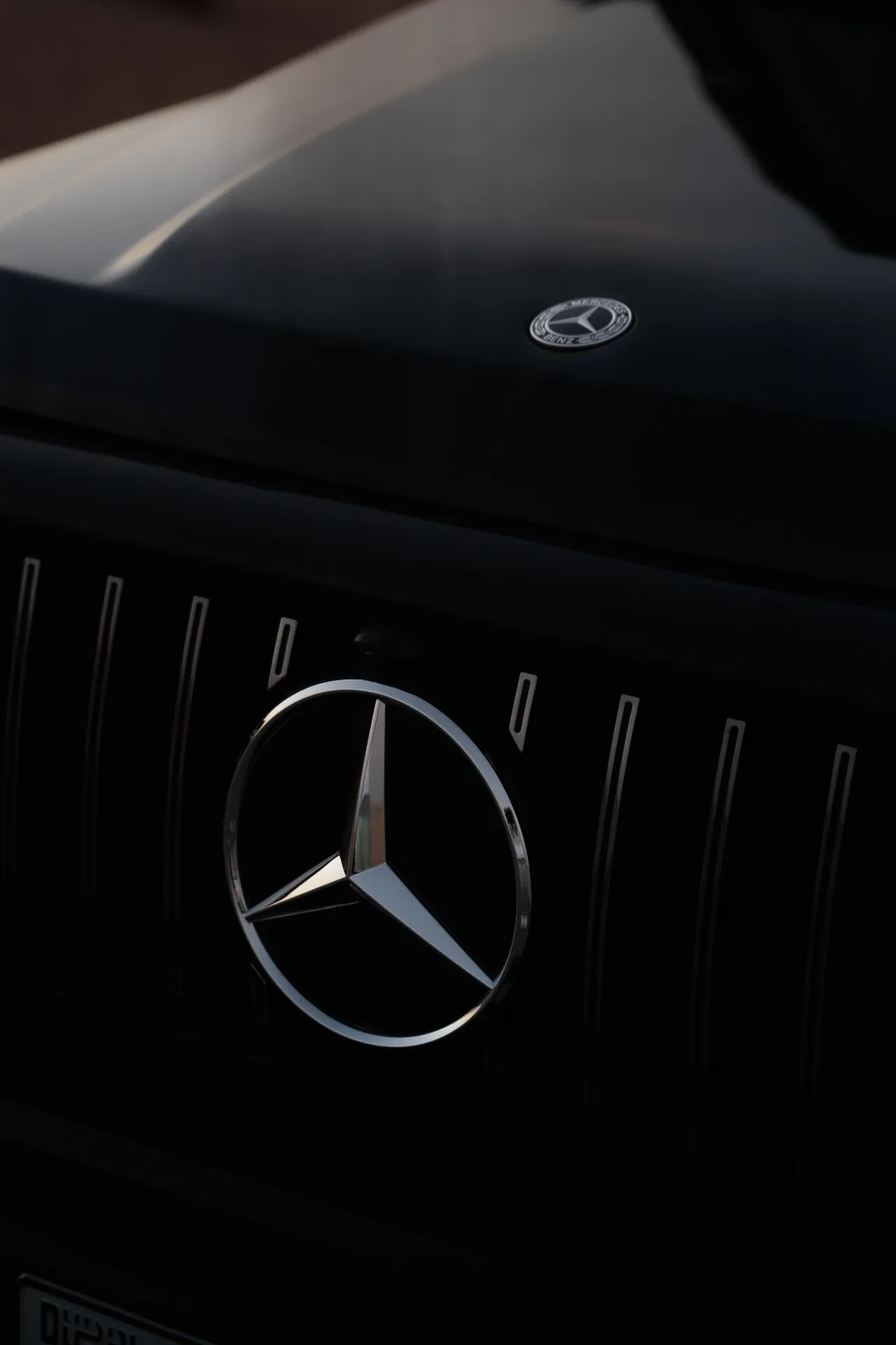 Mercedes — Grill Detail